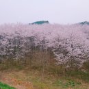 복드림공인중개사사무소 이미지