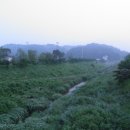 앙덕리 지석묘 이미지