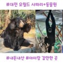 대신공원로 | 겨울 오월드 사파리·동물원 후기｜대전 아이랑 가볼만한 곳 (주차·대기시간)