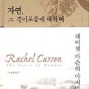 자연체계-산 이미지