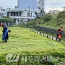 운주당 지구 이미지