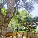 신나는 놀이터 | 울산 아이와 가볼만한곳, 신나는 울산큰나무놀이터 완벽 후기