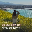 함덕등대 | 260405-08 제주도 3박4일 여행 코스 유채꽃 명소 / 함덕 서우봉, 녹산로 유채꽃 도로, 조랑말 체험공원...