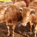 희재농장 이미지