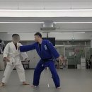 용인대 캡틴 유도 이미지