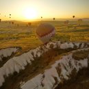 화이트벨리 이미지