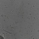 삼호동물병원 이미지