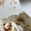 선타코후커피