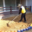 왕선초교병설 이미지