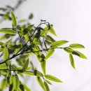 작은풍경 이미지