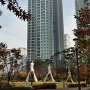 참좋은아파트 앞 이미지