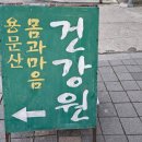 용문산몸과마음건강원