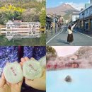 드림빌사과테마공원마을 | 일본 후쿠오카 유후인 버스투어 예약 다자이후 벳부 라쿠투어 내돈내산