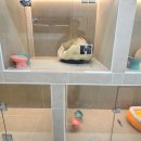 멍풀하우스 이미지