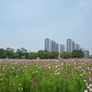 초지역 4번출구 뒤 이미지