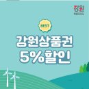 상품권 제로페이 야놀자 사용이 가능하네 (강원도 속초 춘천 숙박 호텔 식당 할인받아 싸게 여행하는 법)