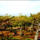 이호공원 이미지