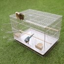 리프패럿 이미지