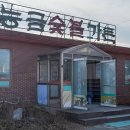 능금숯불갈비 | 김천 돼지갈비 맛집 능금숯불가든, 내돈내산후기!