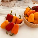 해오름농장-1 이미지