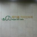 메이플이비인후과 네이버블로그