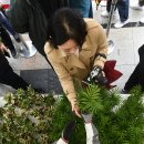 주식회사 희망나무 이미지