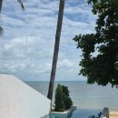 화이트빌리지 | 태국 코사무이 신혼여행 5. 코사무이 풀빌라 화이트웨일빌리지