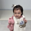 금유목장 | 돌아기 우유 설사, 뉴오리진 a2우유로 선택한 이유와 후기