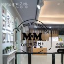 mm애견공방 이미지