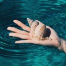 아쿠아수족관 이미지