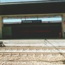 독한마캣 | 피렌체 8/14, 리몬첼로