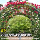 싱투게더 노래연습장 | 광주시청 장미정원 주차장 개화현황