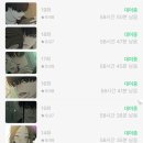 파산핑의 여름 일상 훔쳐보기