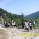 창호농장 이미지