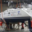 아라파니 이미지