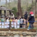 숲해설체험 이미지