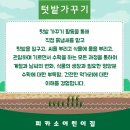 피카소어린이집 네이버블로그
