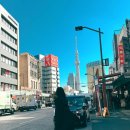 도쿄 여행 2일차 일정:아사쿠사 센소지·호피거리·마사지샵·오다이바 수상버스·건담·고탄다 스시...