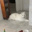 무럭무럭(주) 이미지