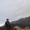 애림농원 이미지