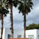 낭만제주펜션 이미지