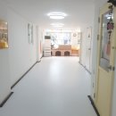 머뭄 애견유치원 이미지