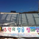 안산썰매장 이미지