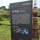 둔산대로 | [대전] 곤충 생태관 대전 한밭수목원 동원 가을 산책 후기