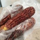 계림청과