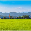 고향생각 이미지