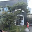 GS25 이천현대점 | 이천 베이커리 카페 아지트 같았던 다양한 브런치 카페 아크