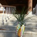 동인의료기 이미지