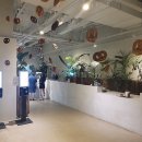 메디플랜트 이미지