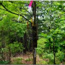 법화리 마을입구 이미지